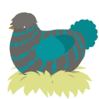 A grey and teal chicken with a bar pattern