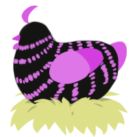 A black and orchid chicken with a bar pattern