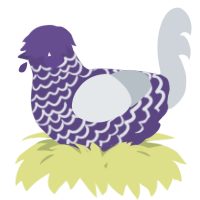 A overcast and mist chicken with a lace pattern