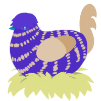 Big Fluff, a indigo and beige chicken with a bar pattern