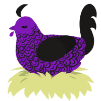 Butterfly Cemetery, a violet and sable chicken with a double-lace pattern