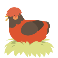 Pumpkin, a vermilion and bark chicken with a head pattern