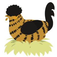 A gold and sable chicken with a bar pattern