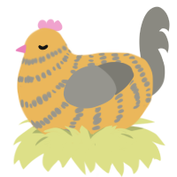 sunburst, a honey and ash chicken with a bar pattern