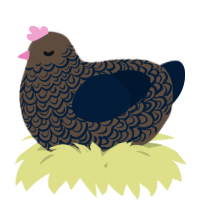A bark and tumblr chicken with a double-lace pattern