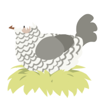 A white and ash chicken with a lace pattern