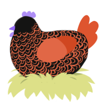 prometheus, a black and vermilion chicken with a double-lace pattern