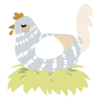 A mist and cream chicken with a bar pattern