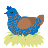 A sapphire and brown chicken with a lace pattern