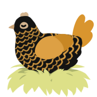 A black and orange chicken with a lace pattern