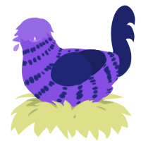 A blurple and navy chicken with a bar pattern