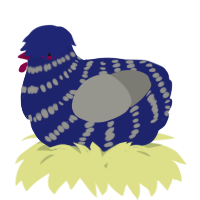 A navy and ash chicken with a bar pattern