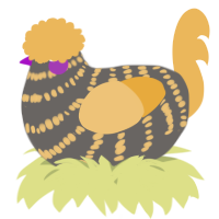 A grey and honey chicken with a bar pattern