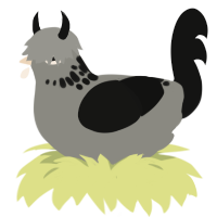 Mortis, a ash and black chicken with a neck-speckle pattern