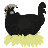 Ashes to ashes, a black and sable chicken with a speckle pattern