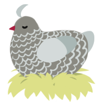 A ash and silver chicken with a lace pattern