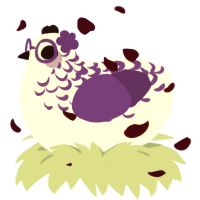 Hyacinth, a white and overcast chicken with a half-lace pattern