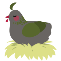 A grey and olive chicken with a neck-speckle pattern