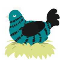A teal and sable chicken with a bar pattern