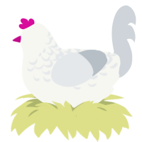Void, a white and mist chicken with a half-lace pattern