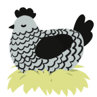 A silver and black chicken with a lace pattern