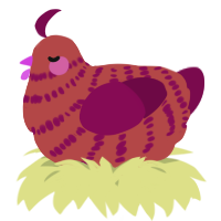 A red and wine chicken with a bar pattern