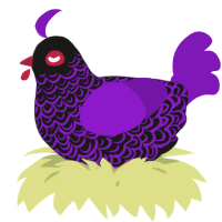 A sable and violet chicken with a double-lace pattern