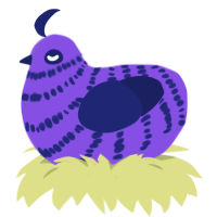 Sut, a blurple and navy chicken with a bar pattern