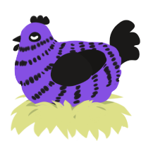 A blurple and sable chicken with a bar pattern