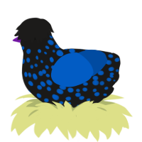Cobalt, a sable and ultramarine chicken with a speckle pattern