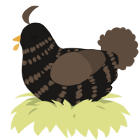 A sable and bark chicken with a bar pattern