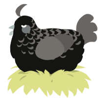 A black and grey chicken with a half-lace pattern