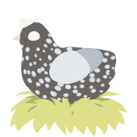 A grey and mist chicken with a speckle pattern