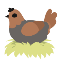 soup, a grey and brown chicken with a head pattern