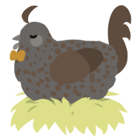 A grey and bark chicken with a speckle pattern