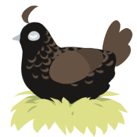 A sable and bark chicken with a half-lace pattern