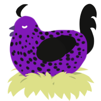 A violet and black chicken with a speckle pattern