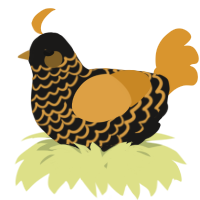 A sable and orange chicken with a lace pattern