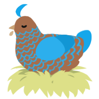 A brown and sky chicken with a lace pattern