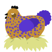 A gold and indigo chicken with a speckle pattern