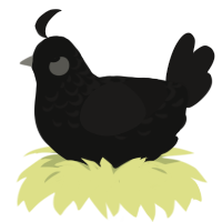 skyline watcher, a black and sable chicken with a half-lace pattern