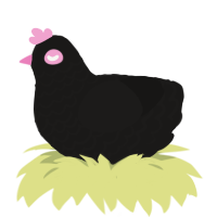 Ayesha, a sable chicken with a lace pattern