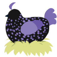 A black and indigo chicken with a speckle pattern