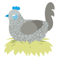 A silver and ash chicken with a double-lace pattern