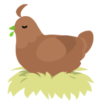 A brown chicken with a head pattern
