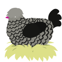A ash and black chicken with a lace pattern