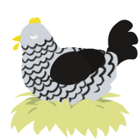 (unnamed), a mist and sable chicken with a lace pattern