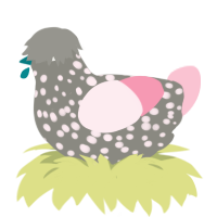 sakura, a ash and rose chicken with a speckle pattern