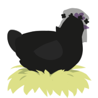 Fairlight, a black and sable chicken