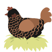 A sable and brown chicken with a lace pattern